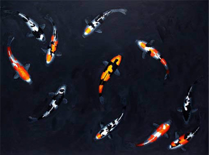 11 KOI landscape